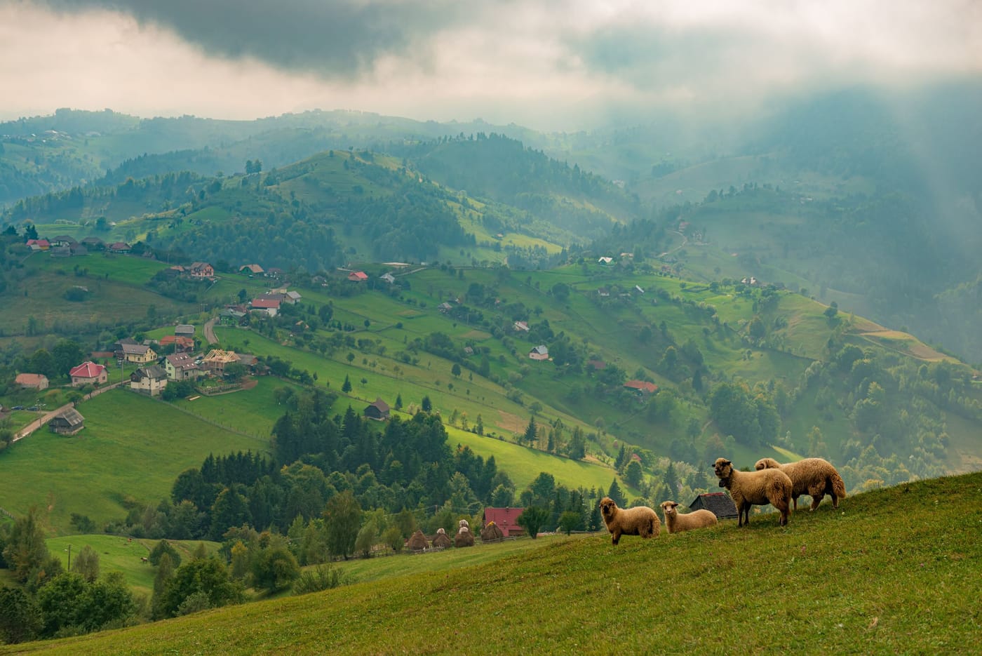 Dealuri verzi cu sate, în România