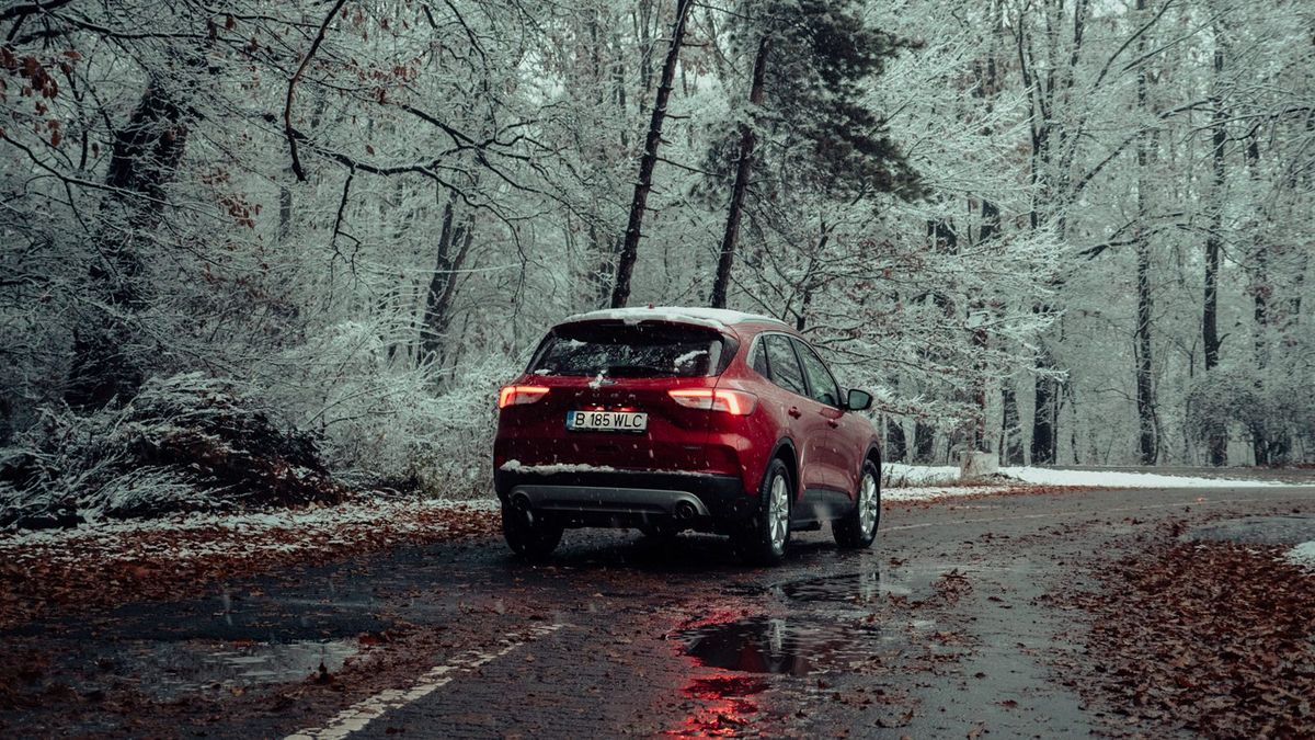 SUV roșu pe un drum de pădure, iarna